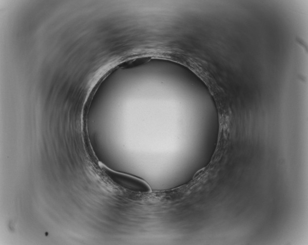 X0000100880148200807071135