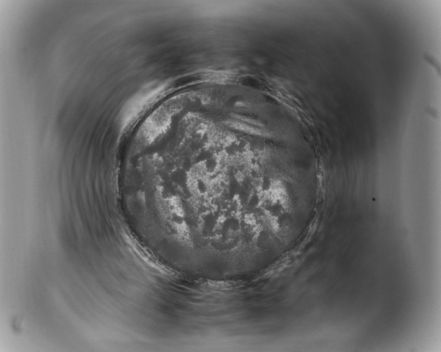 X0000100880149200807071135