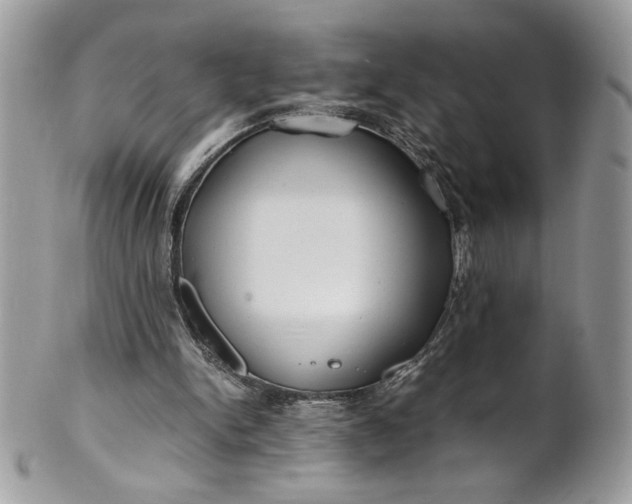 X0000100880150200807071135