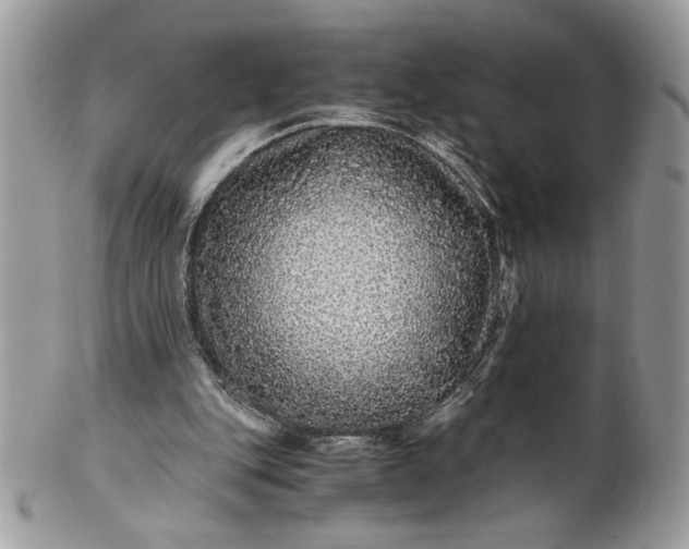 X0000100880151200807071135