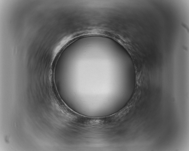 X0000100880152200807071135