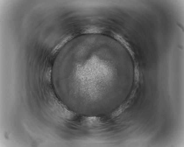 X0000100880153200807071135