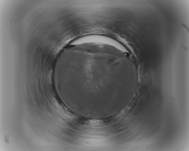 X0000100880154200807071135