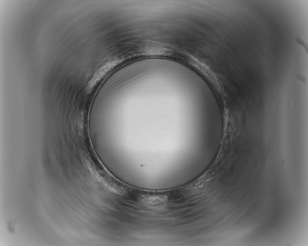 X0000100880155200807071135