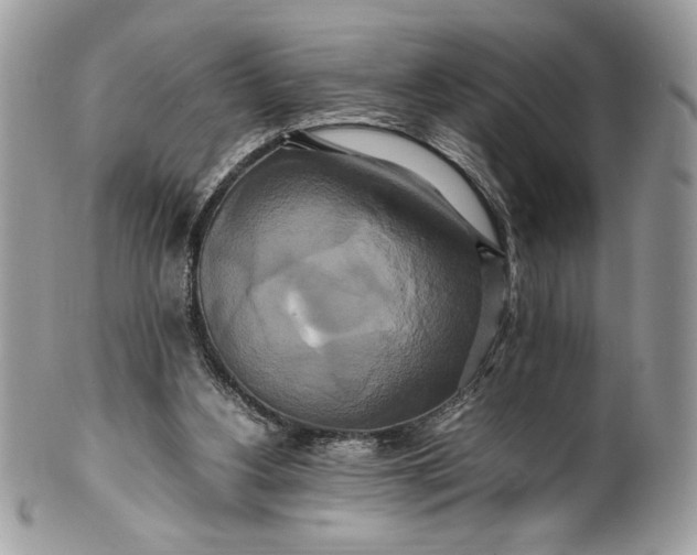 X0000100880156200807071135