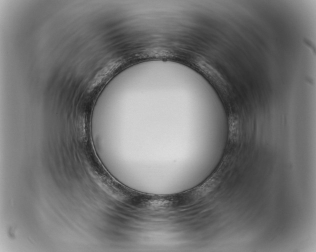 X0000100880158200807071135