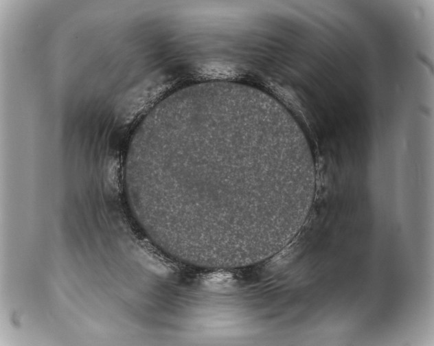 X0000100880162200807071135