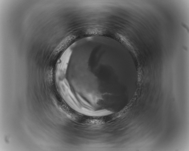 X0000100880163200807071135