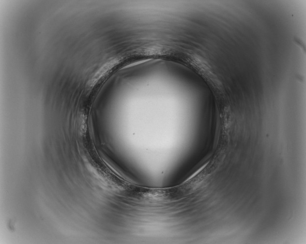 X0000100880164200807071135