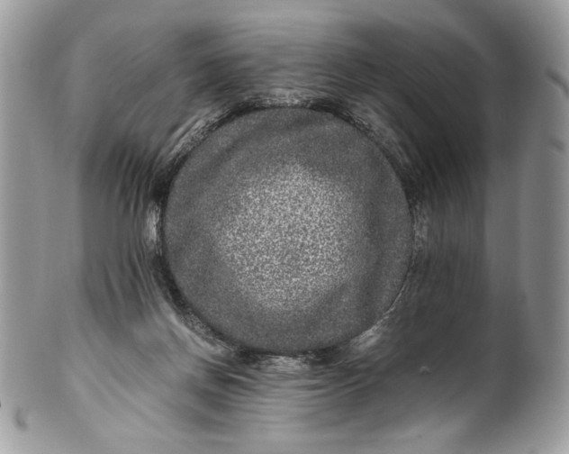 X0000100880166200807071135