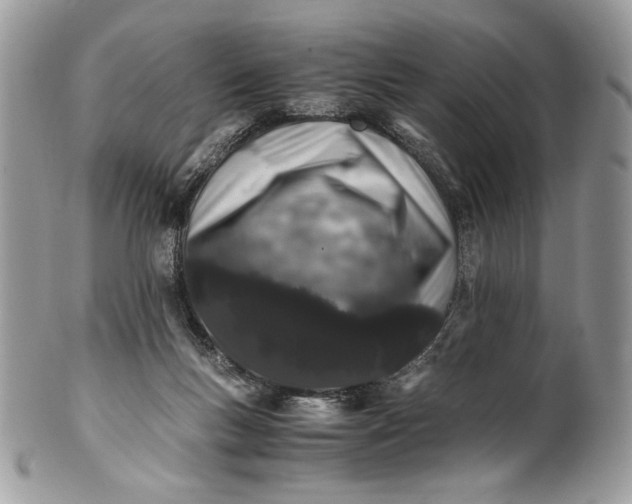 X0000100880167200807071135