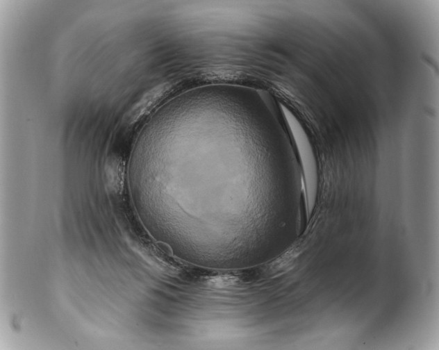 X0000100880168200807071135