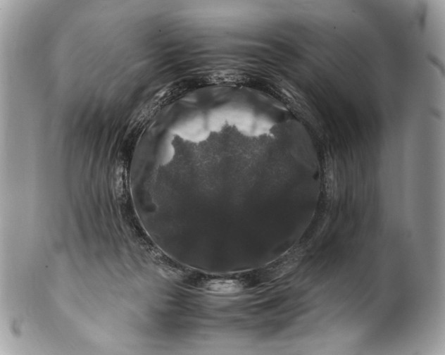 X0000100880169200807071135