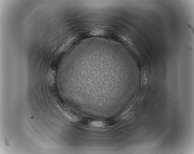 X0000100880171200807071135