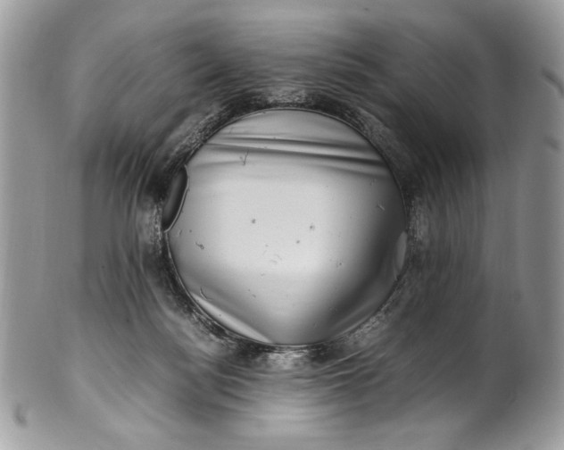 X0000100880172200807071135