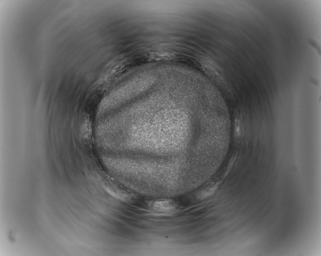 X0000100880173200807071135