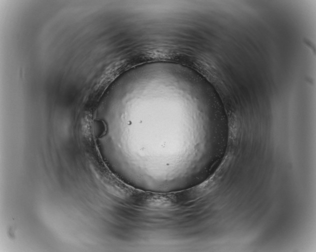 X0000100880175200807071135