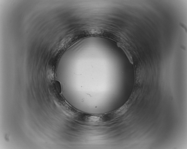 X0000100880176200807071135