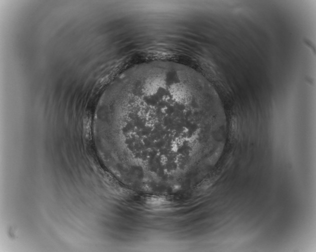 X0000100880177200807071135