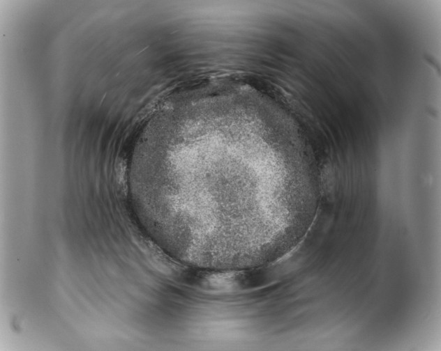 X0000100880178200807071135