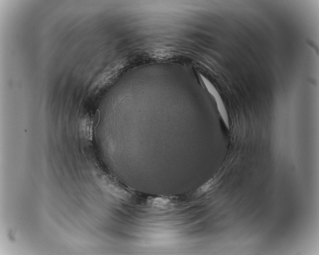 X0000100880180200807071135