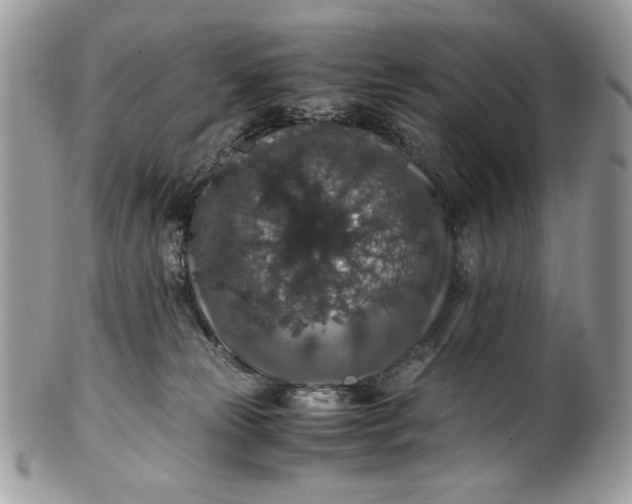 X0000100880181200807071135