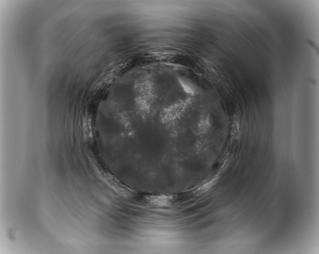 X0000100880182200807071135