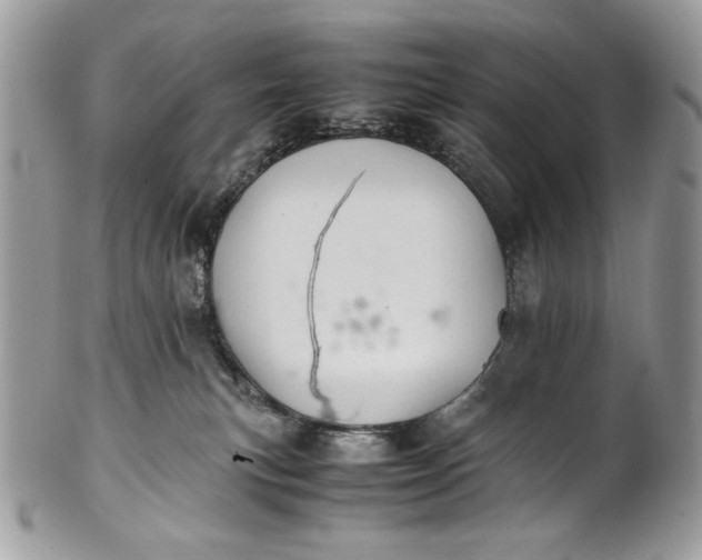 X0000100880183200807071135