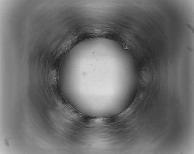 X0000100880184200807071135