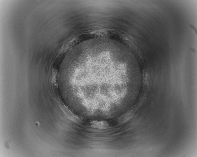 X0000100880185200807071135