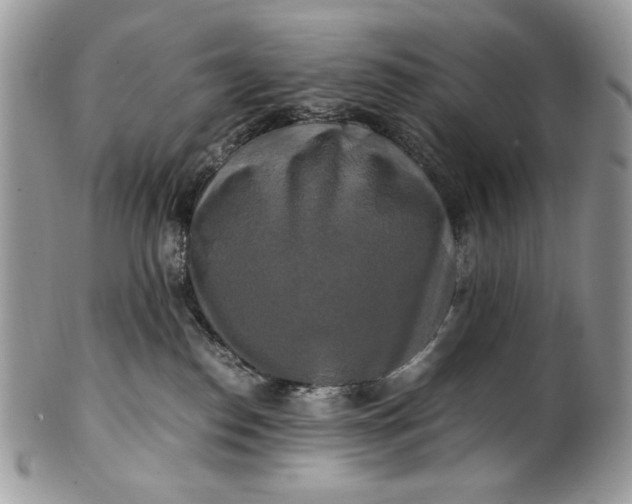 X0000100880186200807071135