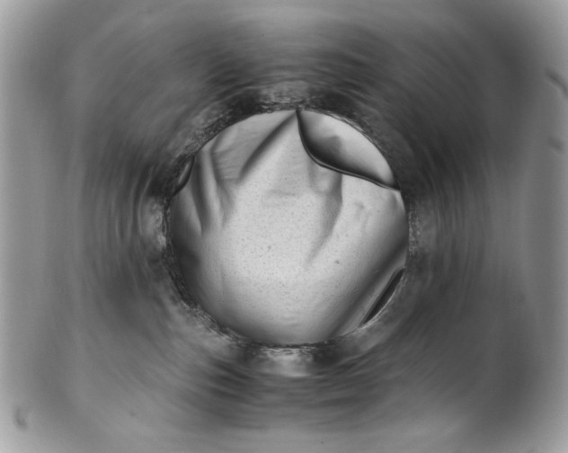 X0000100880187200807071135