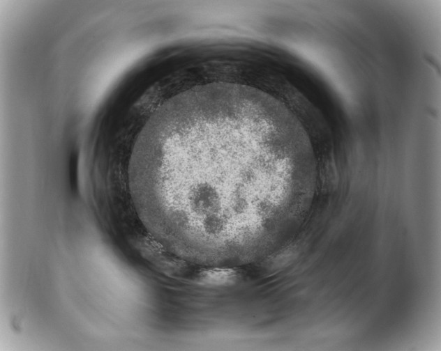 X0000100880189200807071135