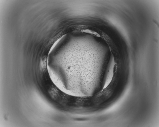 X0000100880190200807071135