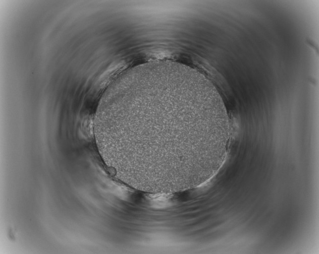 X0000100880191200807071135