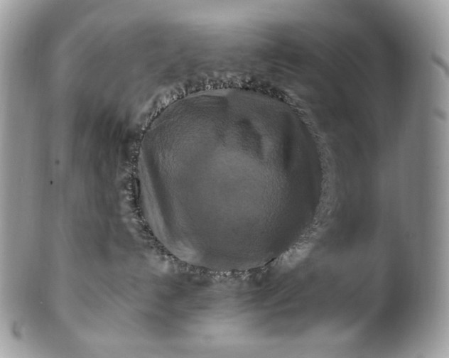 X0000100880192200807071135