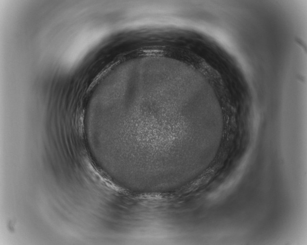 X0000100880194200807071135