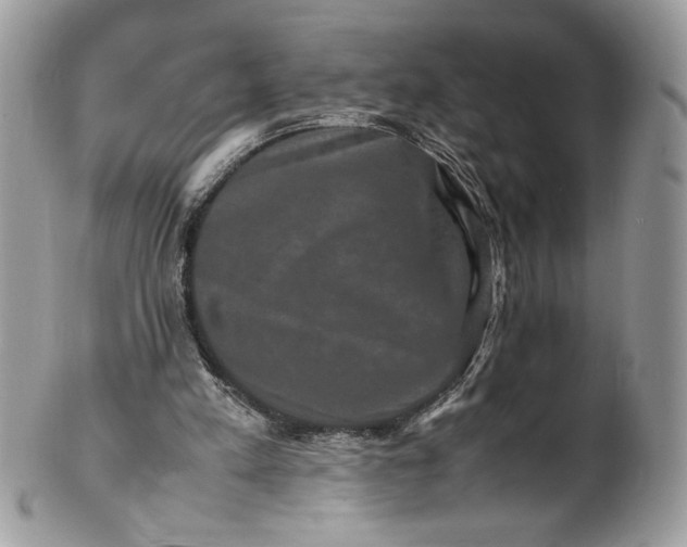 X0000100880197200807071134