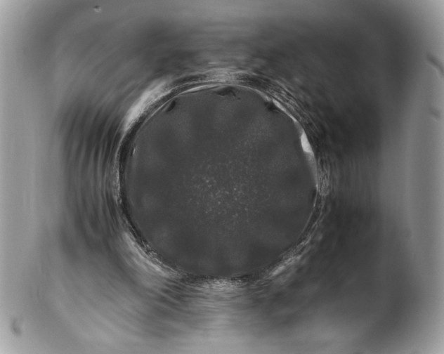 X0000100880198200807071134