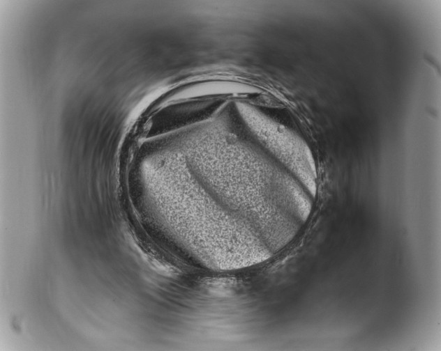 X0000100880200200807071134