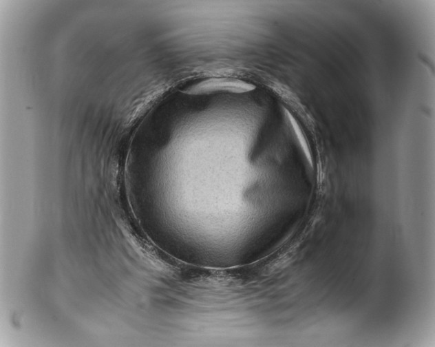 X0000100880201200807071134