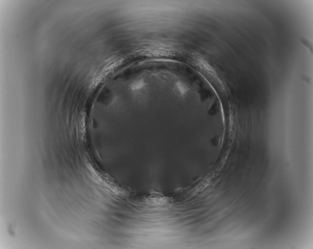 X0000100880202200807071134