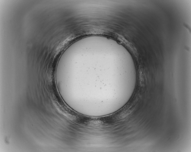 X0000100880203200807071134