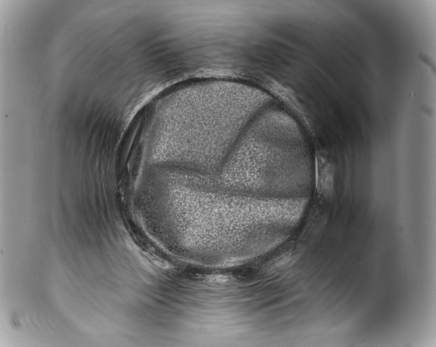 X0000100880204200807071134