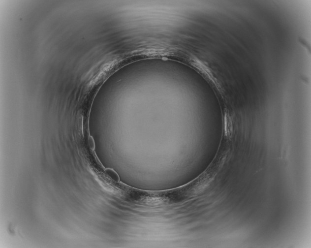 X0000100880205200807071134