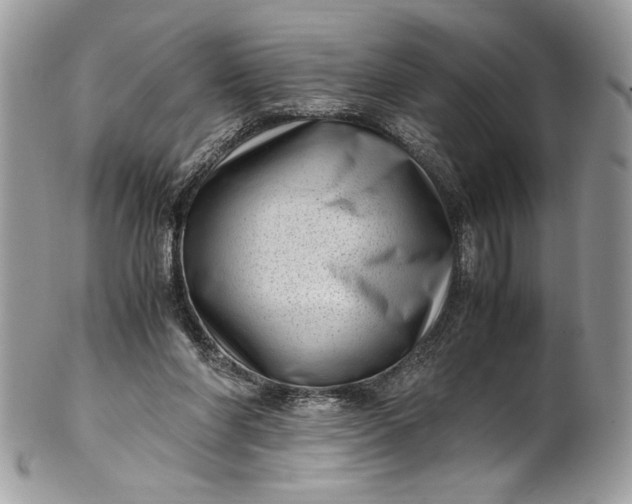 X0000100880206200807071134