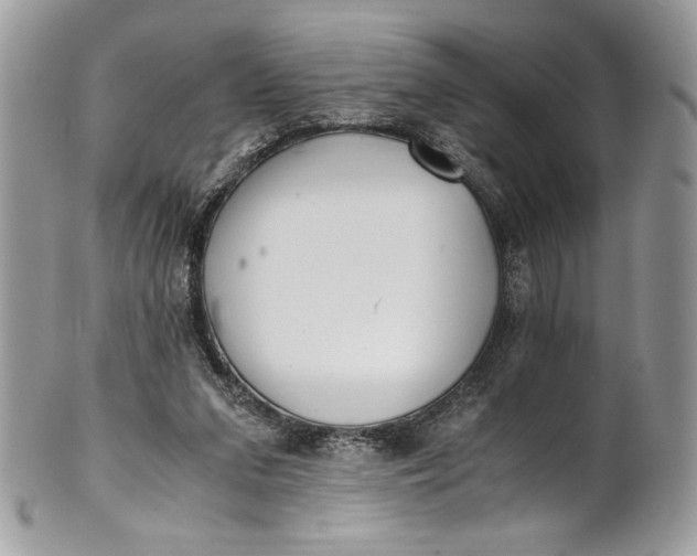 X0000100880207200807071134