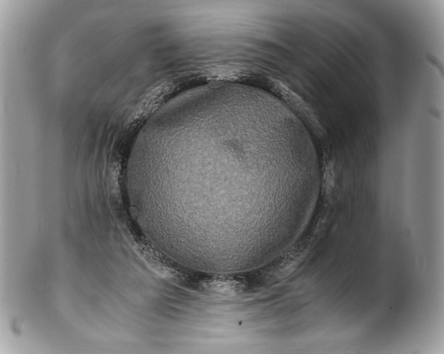 X0000100880209200807071134