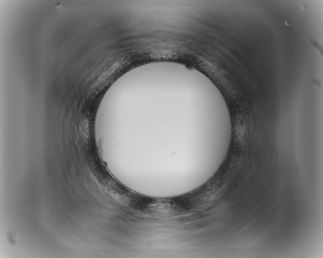 X0000100880211200807071134