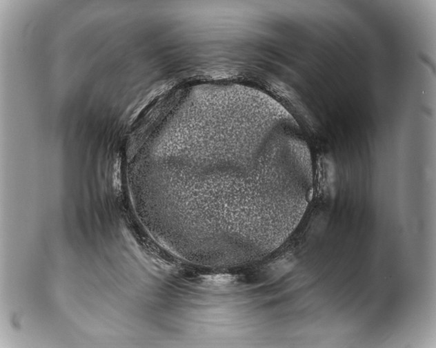 X0000100880212200807071134